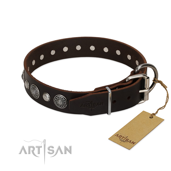 Fine quality full grain genuine leather dog collar with trendy adornments