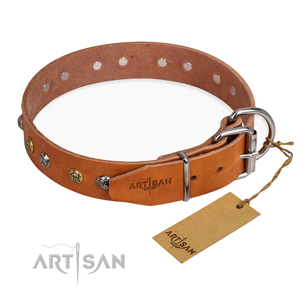 Leather dog collar with fashionable corrosion resistant embellishments