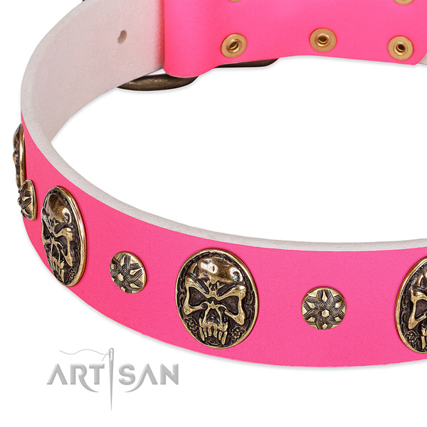 Adjustable dog collar handmade for your lovely four-legged friend