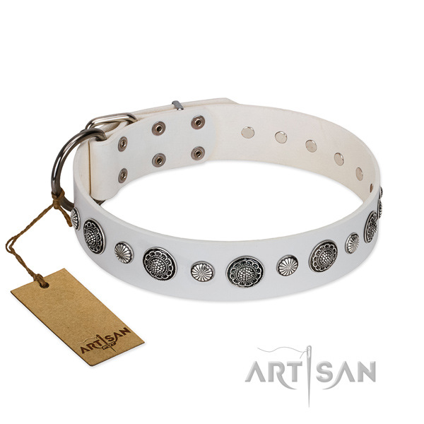 Top notch leather dog collar with corrosion resistant buckle