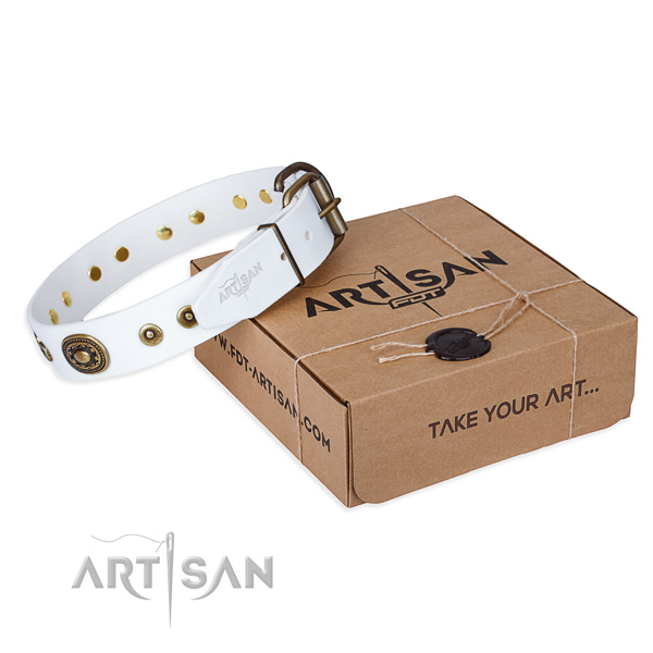 Full grain natural leather dog collar made of top rate material with corrosion proof fittings