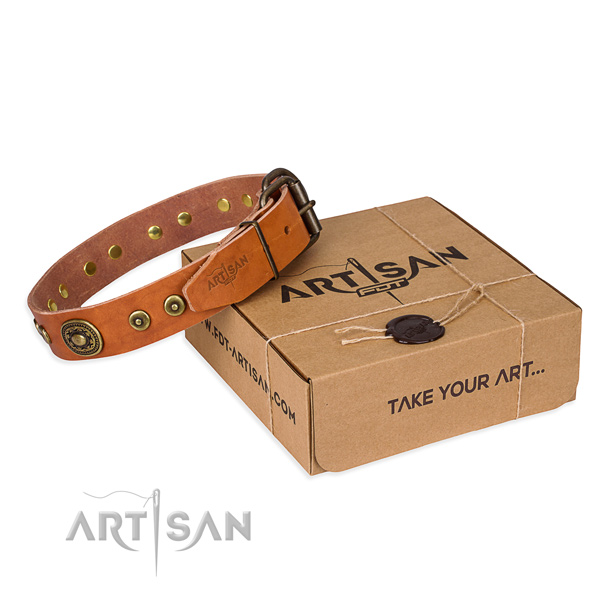 Full grain leather dog collar made of soft to touch material with durable buckle