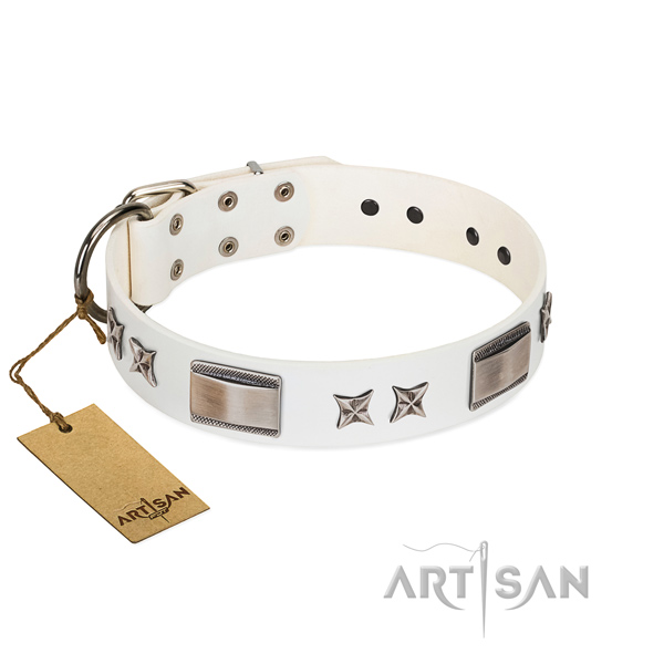 Designer dog collar of full grain genuine leather
