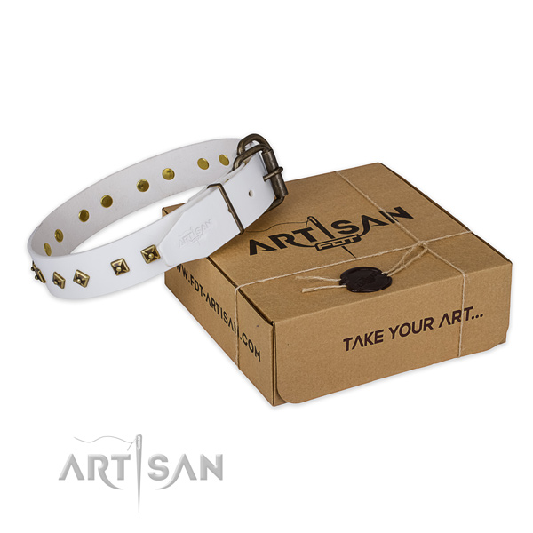 Reliable traditional buckle on genuine leather dog collar for everyday use