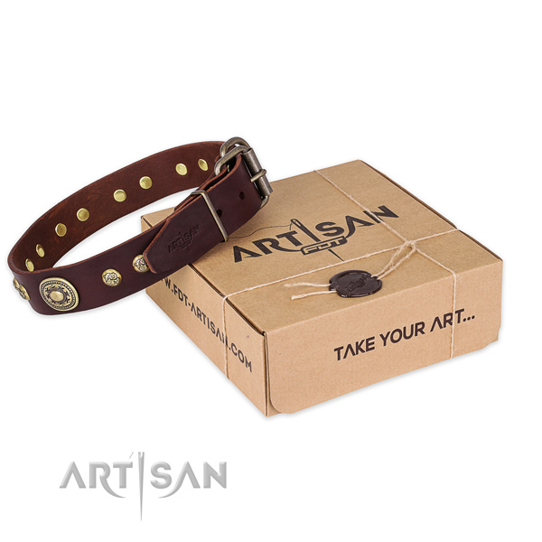 Reliable fittings on full grain genuine leather dog collar for everyday use