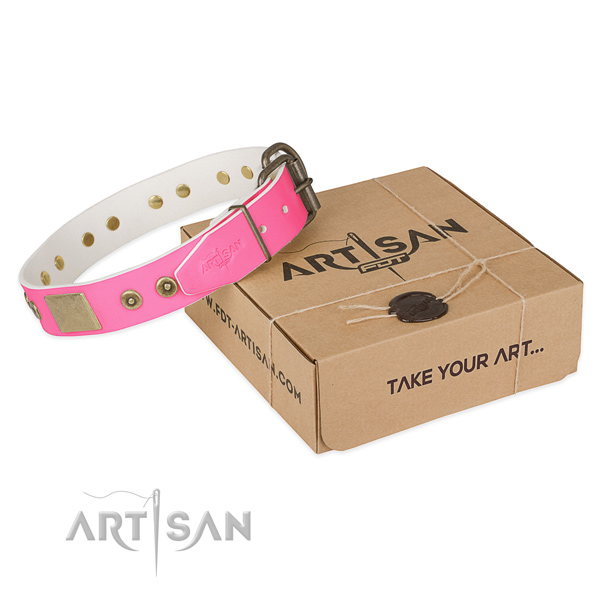 Corrosion resistant D-ring on dog collar for basic training