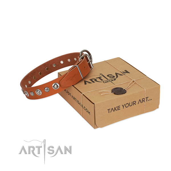 Fine quality natural leather dog collar with top notch embellishments