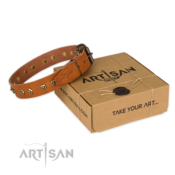 Rust-proof buckle on leather dog collar for walking