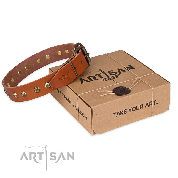 Strong fittings on natural genuine leather collar for your stylish four-legged friend
