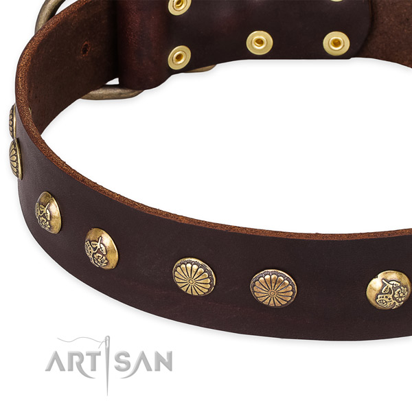 Natural genuine leather collar with corrosion proof D-ring for your stylish pet