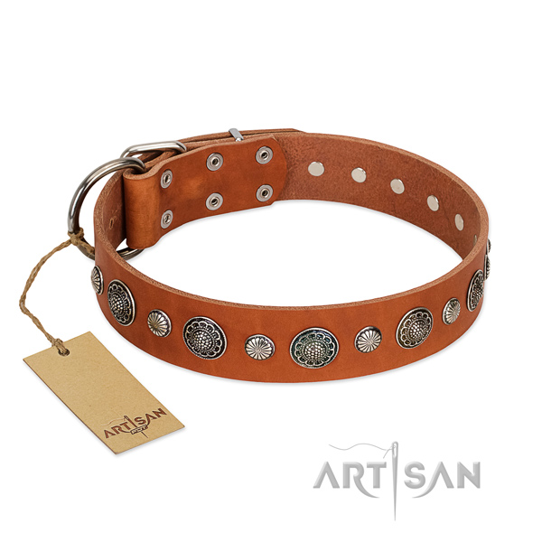 Durable genuine leather dog collar with rust resistant fittings