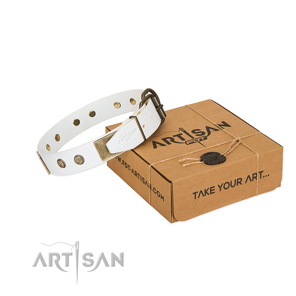 Rust-proof traditional buckle on dog collar for comfortable wearing