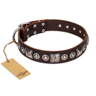 "Pierian spring" FDT Artisan Brown Leather Siberian Husky Collar with Silvery Decorations