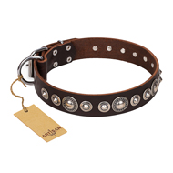 "Step and Sparkle" FDT Artisan Glamorous Studded Brown Leather Siberian Husky Collar