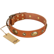 "Visual Magic" FDT Artisan Tan Leather Siberian Husky Collar for Daily Activities