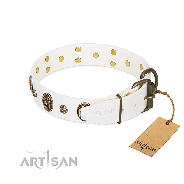Rust-proof embellishments on leather dog collar for your dog
