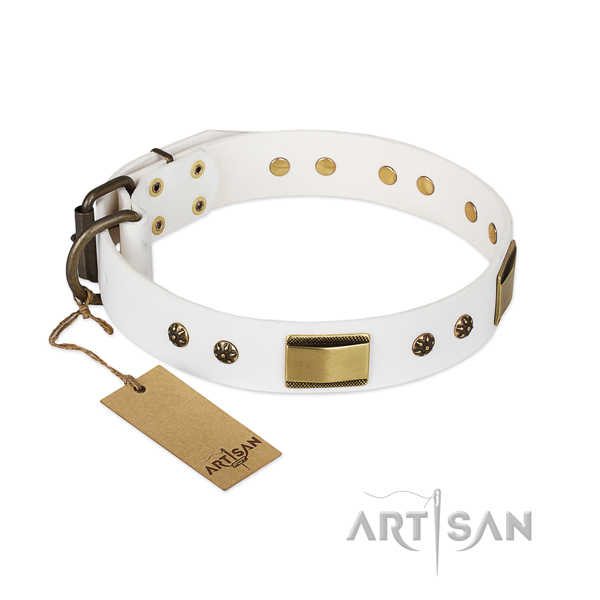 Studded full grain leather collar for your doggie