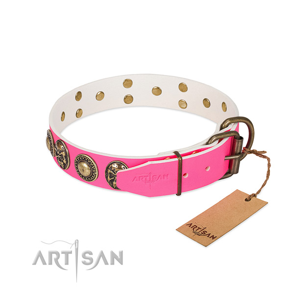 Strong fittings on easy wearing dog collar