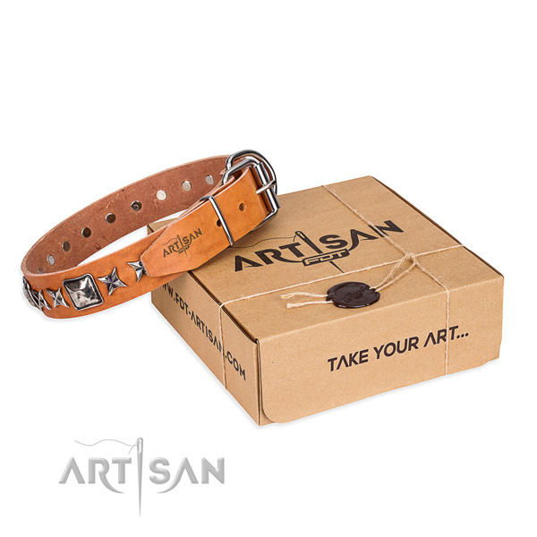 Everyday walking natural leather dog collar with studs