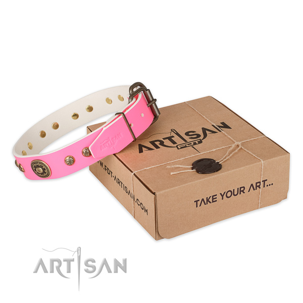 Reliable traditional buckle on full grain leather dog collar for walking