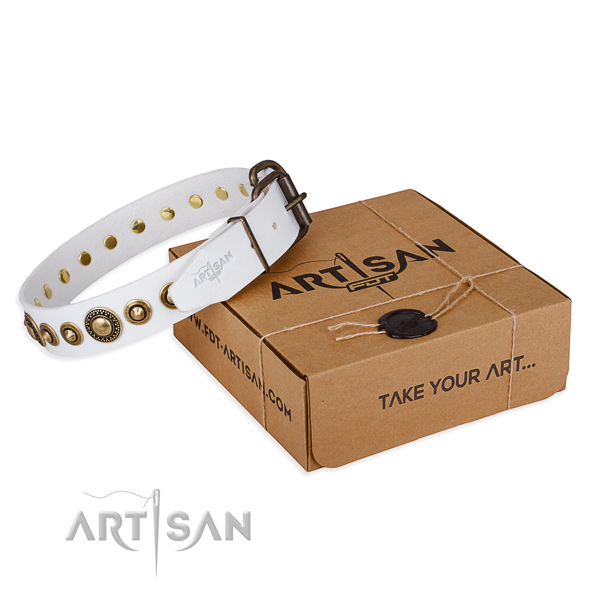 Best quality full grain genuine leather dog collar handmade for walking