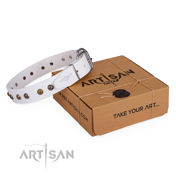 Everyday use dog collar with Impressive reliable studs