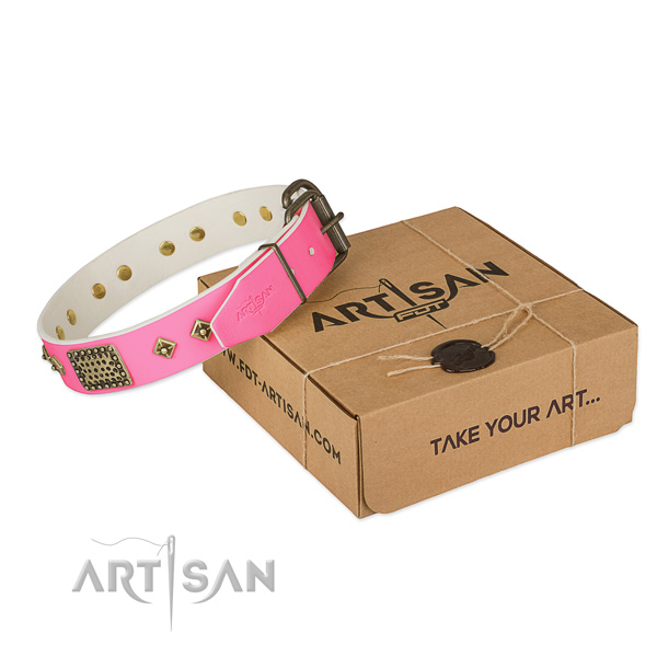 Durable traditional buckle on dog collar for comfortable wearing