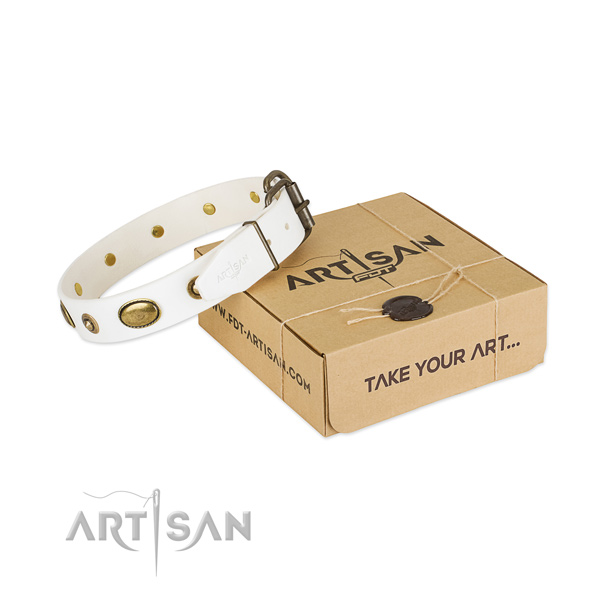Trendy genuine leather collar for your impressive dog