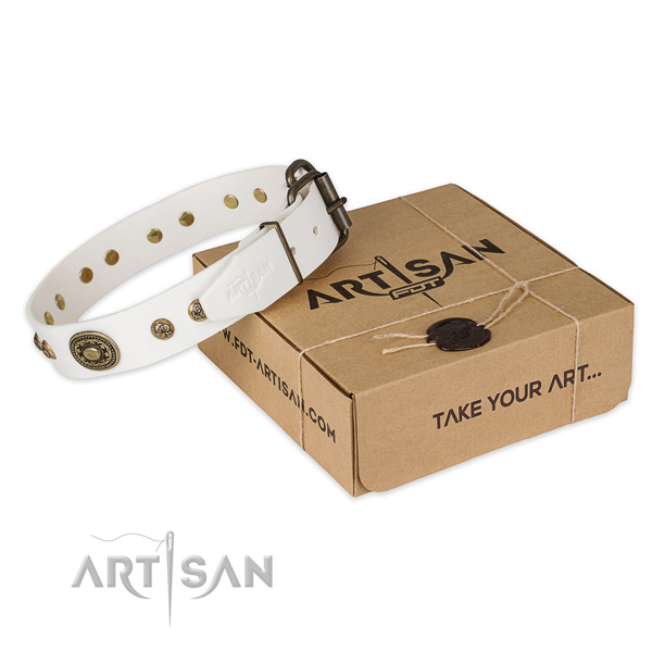 Corrosion proof hardware on full grain natural leather dog collar for walking