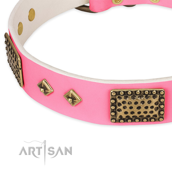 Full grain natural leather dog collar with embellishments for stylish walking