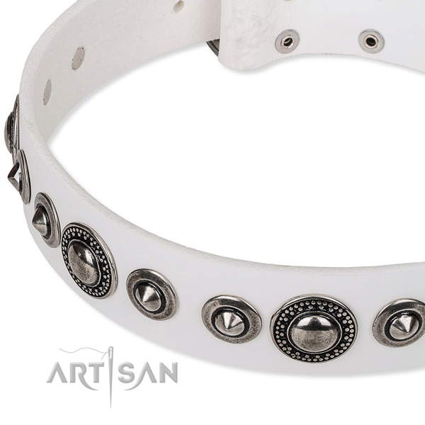 Easy wearing adorned dog collar of quality full grain genuine leather