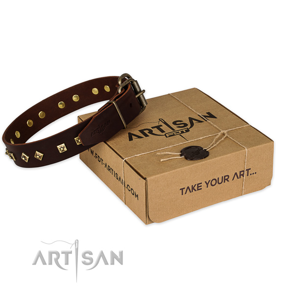 Corrosion resistant fittings on full grain leather dog collar for comfy wearing