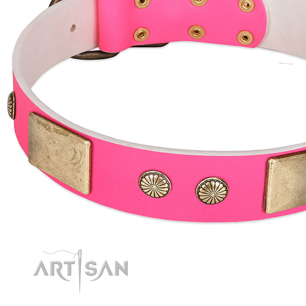 Strong adornments on natural leather dog collar for your pet