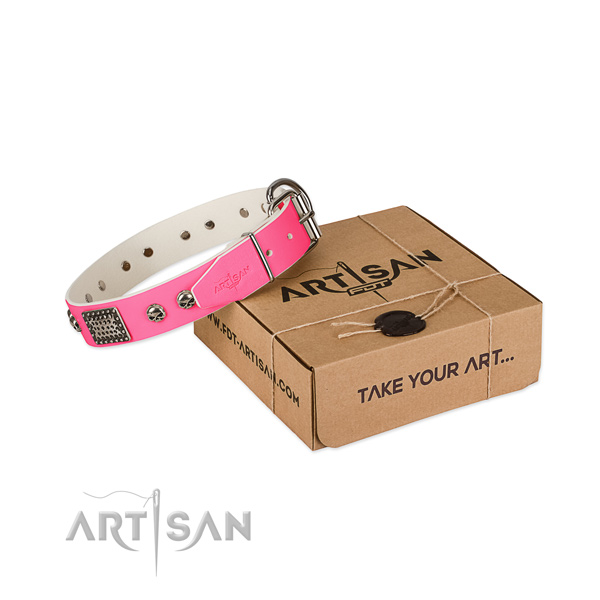 Durable embellishments on dog collar for daily walking