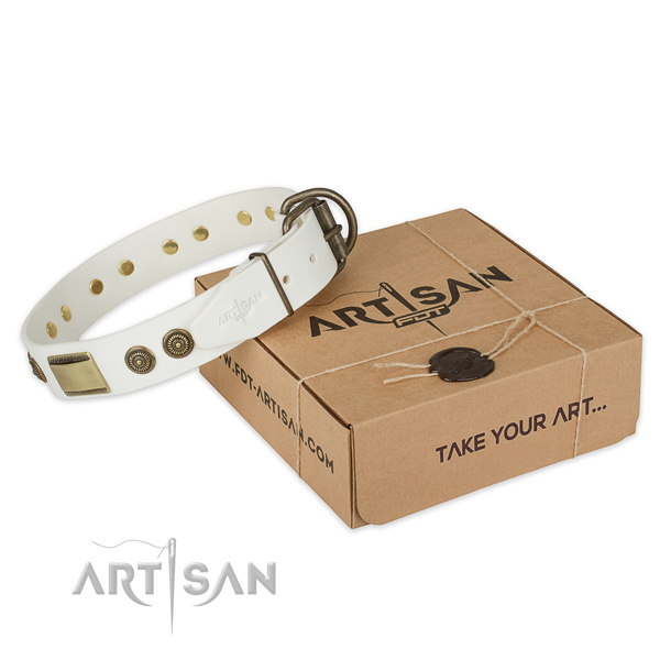 Rust-proof traditional buckle on genuine leather dog collar for everyday use