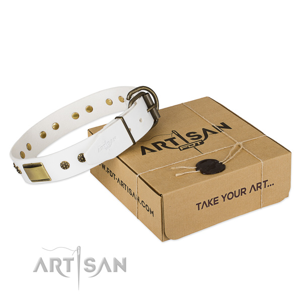 Trendy natural genuine leather collar for your handsome canine