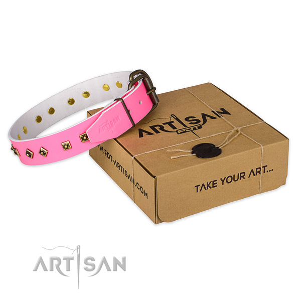 Reliable buckle on full grain leather dog collar for basic training