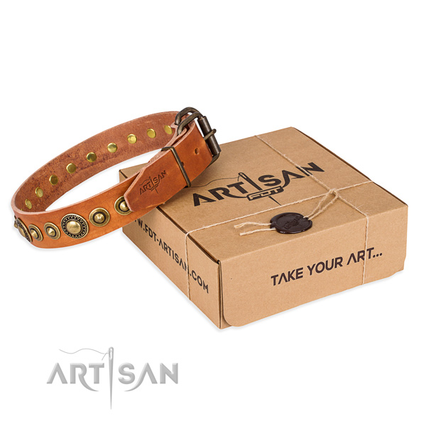 Durable full grain leather dog collar created for fancy walking