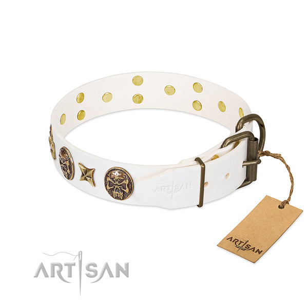 Durable traditional buckle on genuine leather collar for daily walking your doggie