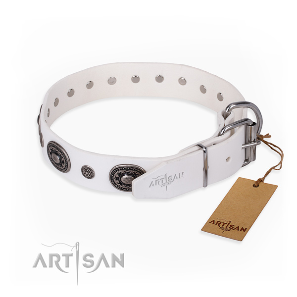 Strong genuine leather dog collar crafted for daily walking