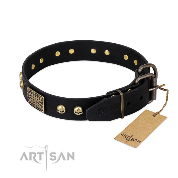 Rust resistant hardware on walking dog collar