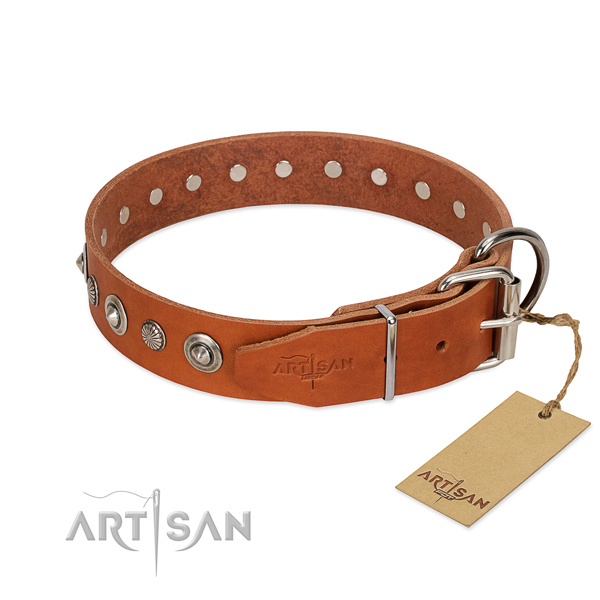 Top notch genuine leather dog collar with inimitable embellishments