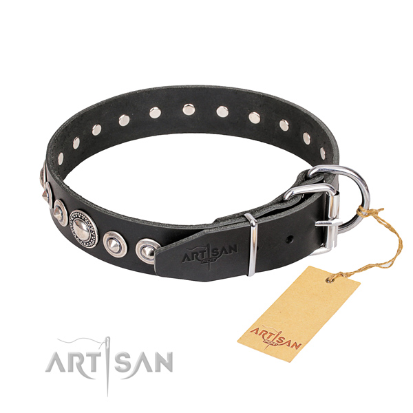 Top notch embellished dog collar of full grain leather