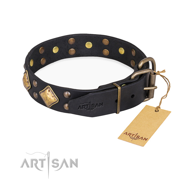 Leather dog collar with designer reliable studs