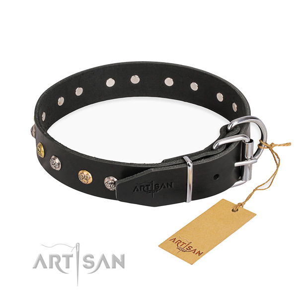 Best quality full grain leather dog collar made for stylish walking