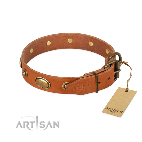 Rust-proof traditional buckle on full grain natural leather dog collar for your pet