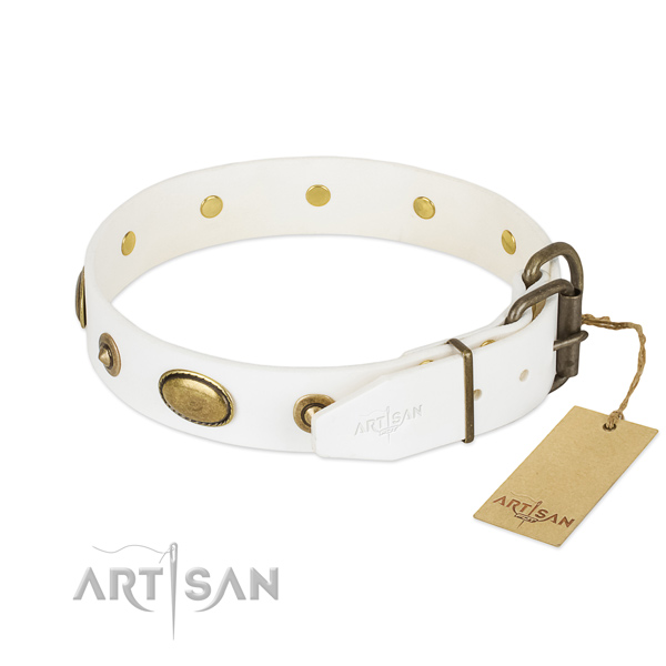 Durable D-ring on leather dog collar for your four-legged friend