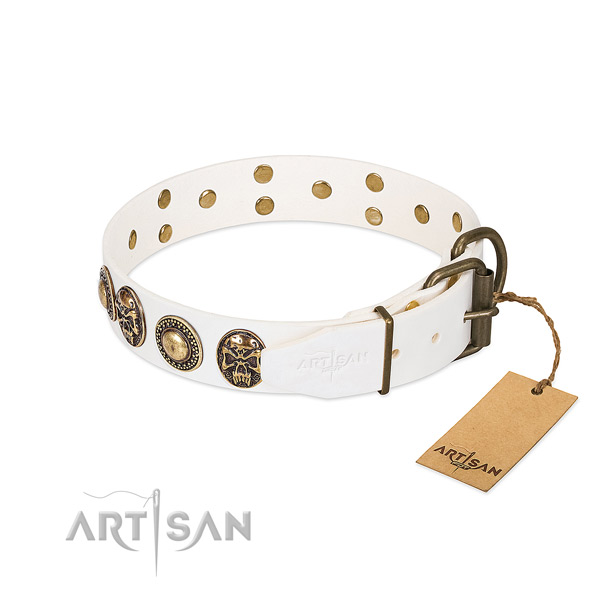 Strong D-ring on everyday use dog collar