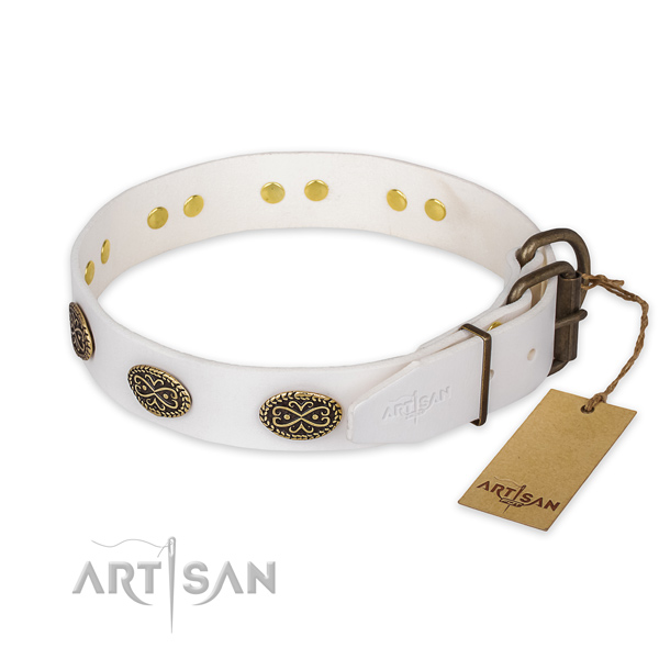 Corrosion proof fittings on genuine leather collar for walking your pet