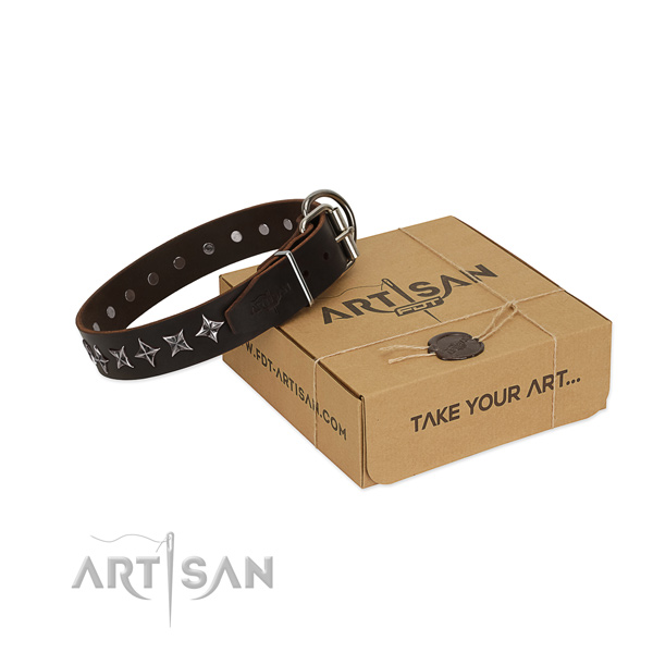 Comfortable wearing dog collar of reliable full grain natural leather with adornments